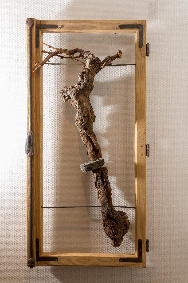 Weinhotel Ayler Kupp Extérieur photo